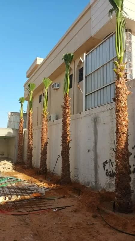 تنفيذ الممرات والأرضيات الخارجية