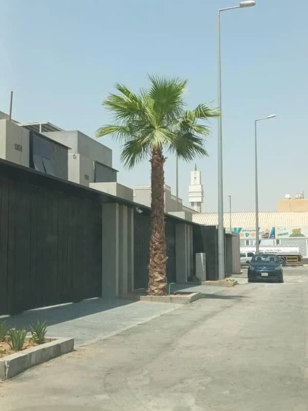 حلول تصريف مياه الحدائق