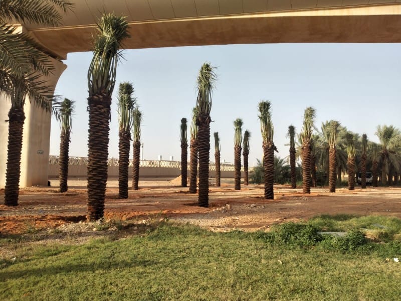 صورة تنسيق حدائق ولاندسكيب