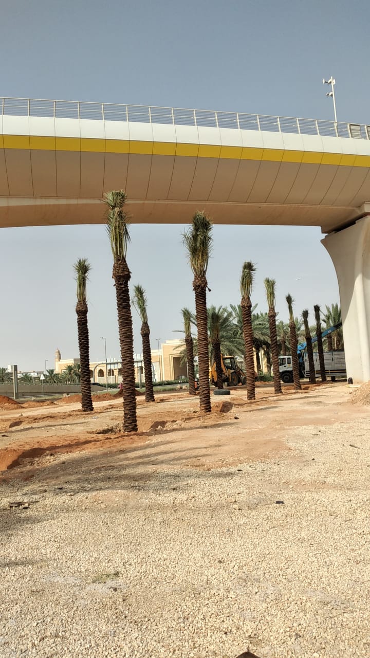 صورة تنسيق حدائق ولاندسكيب