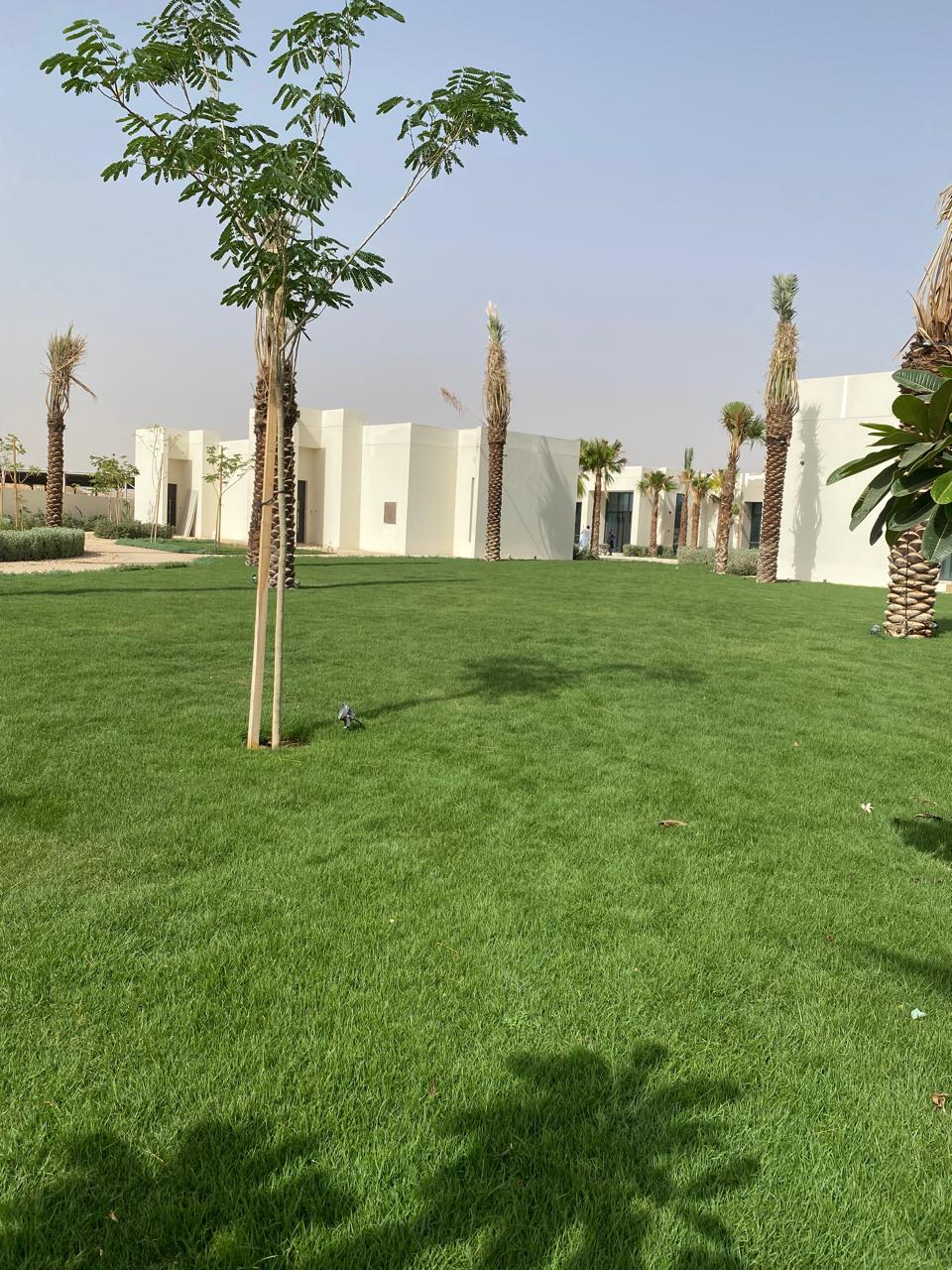 صورة تنسيق حدائق ولاندسكيب