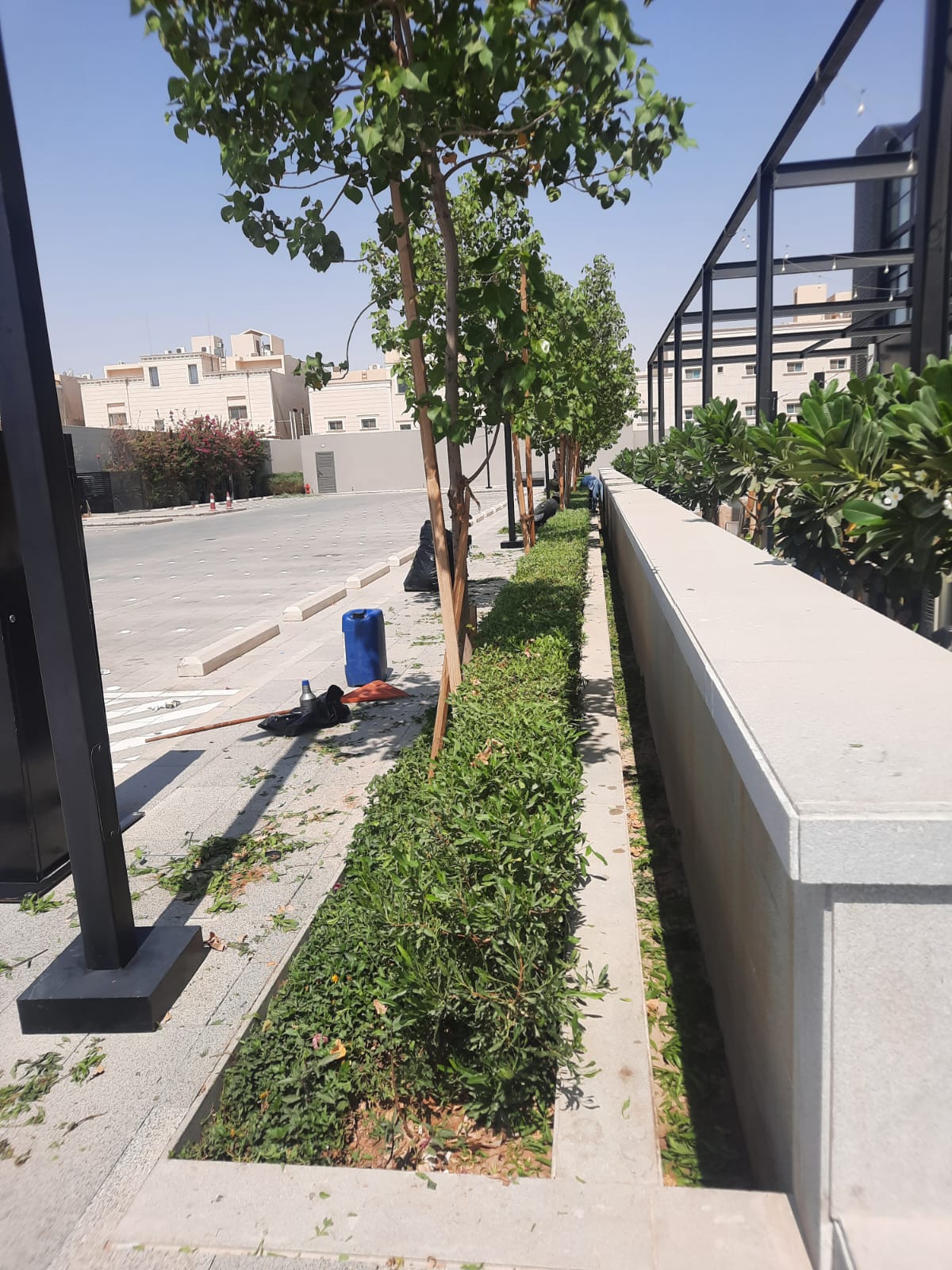 صورة تنسيق حدائق ولاندسكيب