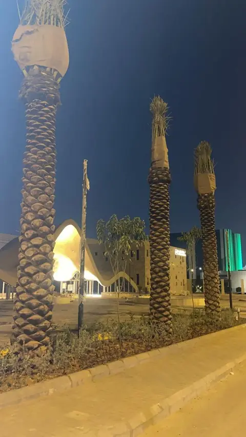 تركيب مؤقتات وتحكم بالري للمساجد والمرافق العامة