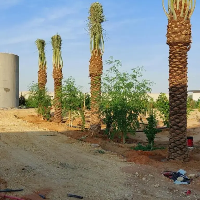 إنارة الحدائق والممرات للفلل والمنازل