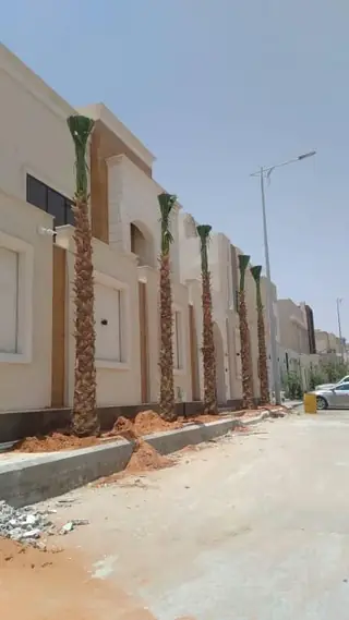 صيانة الحدائق الدورية للمدارس والمرافق التعليمية