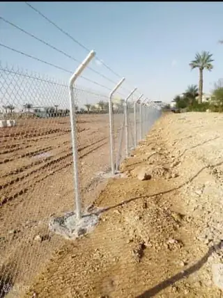صيانة وتقليم النخيل للمشاريع التجارية