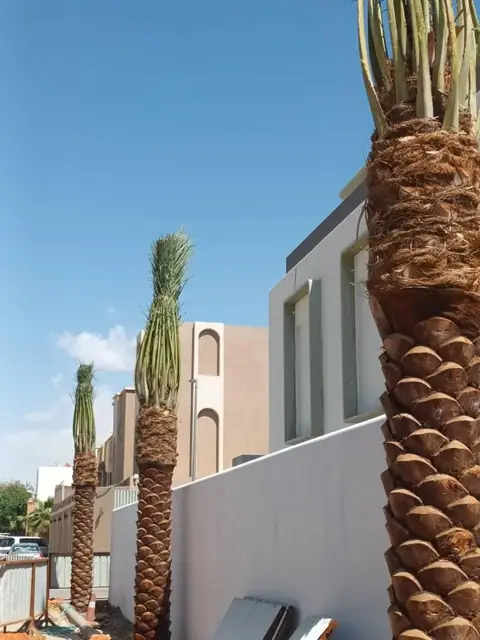 تصميم مخطط لاندسكيب للفلل والمنازل